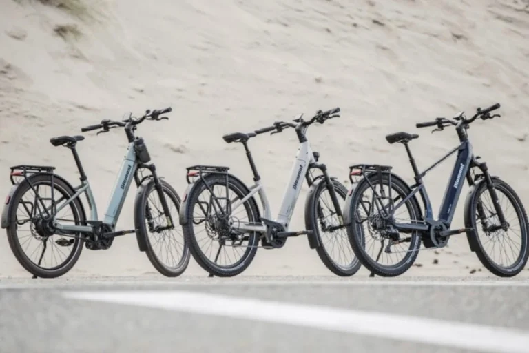 Diamant Sueva E-bikes