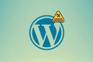 Wordpress kwetsbaar